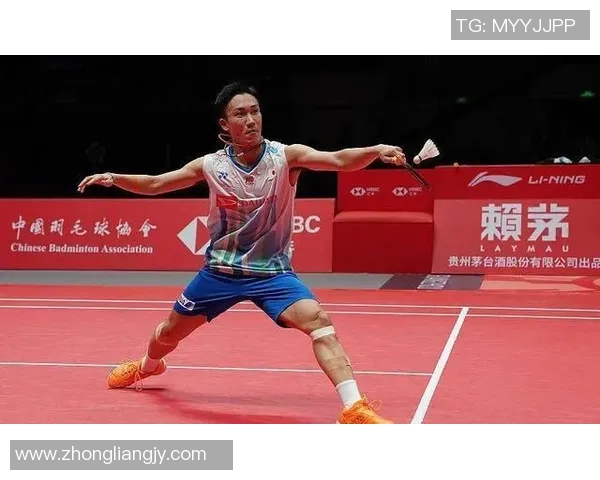 深圳羽毛球队在挑战赛中的默契配合与战术执行分析